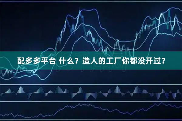 配多多平台 什么?造人的工厂你都没开过?