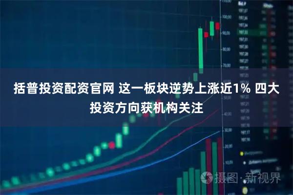 括普投资配资官网 这一板块逆势上涨近1% 四大投资方向获机构关注